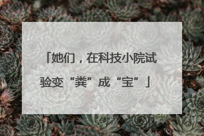 她们，在科技小院试验变“粪”成“宝”