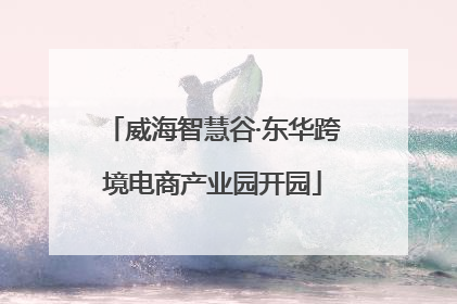 威海智慧谷·东华跨境电商产业园开园