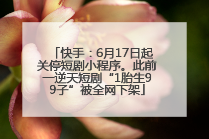 快手：6月17日起关停短剧小程序。此前一逆天短剧“1胎生99子”被全网下架