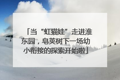 当“虹猫娃”走进淮东园，皂荚树下一场幼小衔接的探索开始啦