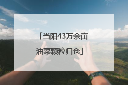 当阳43万余亩油菜颗粒归仓