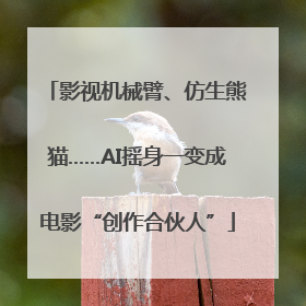 影视机械臂、仿生熊猫……AI摇身一变成电影“创作合伙人”
