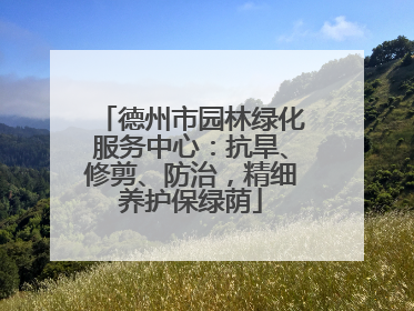 德州市园林绿化服务中心：抗旱、修剪、防治，精细养护保绿荫
