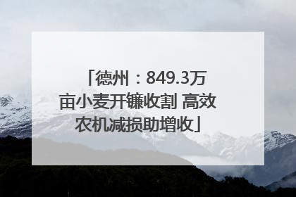 德州：849.3万亩小麦开镰收割 高效农机减损助增收
