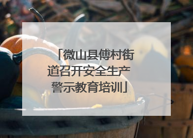 微山县傅村街道召开安全生产警示教育培训