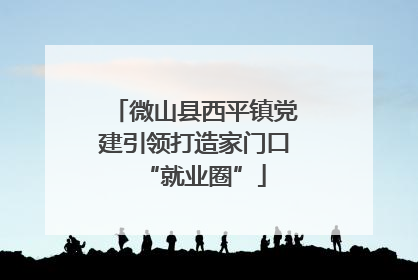 微山县西平镇党建引领打造家门口“就业圈”
