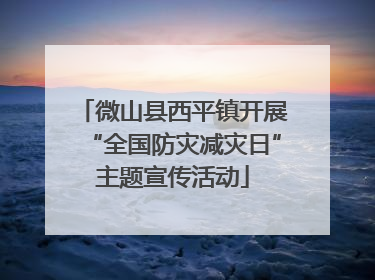 微山县西平镇开展“全国防灾减灾日”主题宣传活动