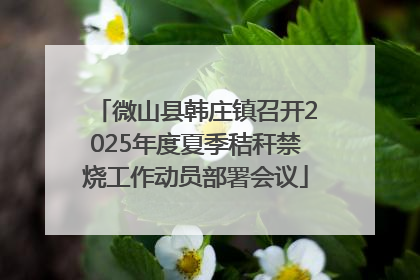 微山县韩庄镇召开2025年度夏季秸秆禁烧工作动员部署会议