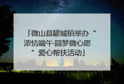 微山县驩城镇举办“浓情端午·圆梦微心愿”爱心帮扶活动