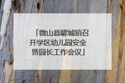 微山县驩城镇召开学区幼儿园安全暨园长工作会议