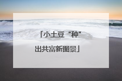 小土豆“种”出共富新图景