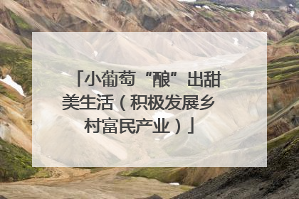 小葡萄“酿”出甜美生活（积极发展乡村富民产业）