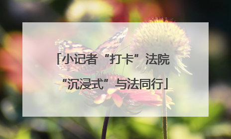 小记者“打卡”法院 “沉浸式”与法同行