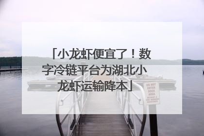 小龙虾便宜了！数字冷链平台为湖北小龙虾运输降本