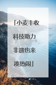 小麦丰收 科技助力 非遗也来凑热闹