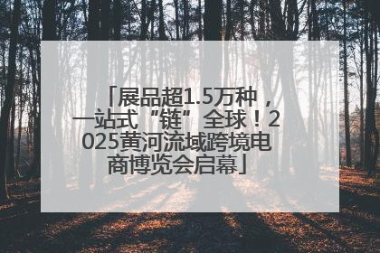 展品超1.5万种，一站式“链”全球！2025黄河流域跨境电商博览会启幕