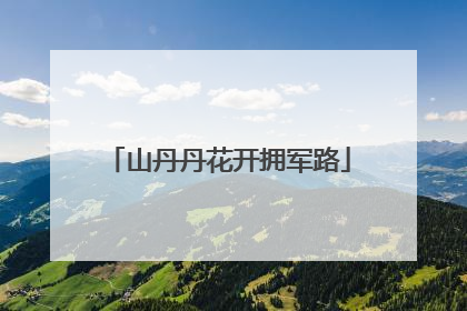 山丹丹花开拥军路