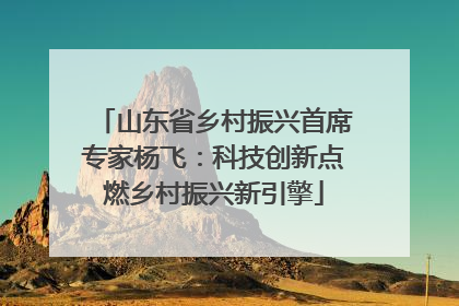 山东省乡村振兴首席专家杨飞：科技创新点燃乡村振兴新引擎
