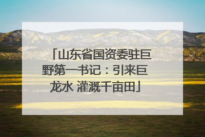 山东省国资委驻巨野第一书记：引来巨龙水 灌溉千亩田