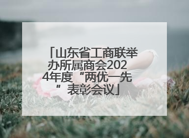 山东省工商联举办所属商会2024年度“两优一先”表彰会议