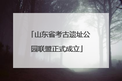 山东省考古遗址公园联盟正式成立