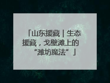 山东援藏｜生态援藏，戈壁滩上的“潍坊魔法”