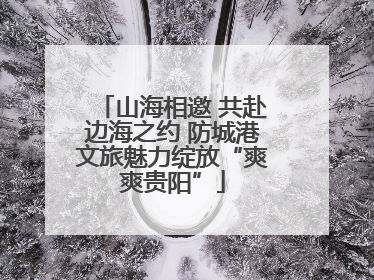 山海相邀 共赴边海之约 防城港文旅魅力绽放“爽爽贵阳”
