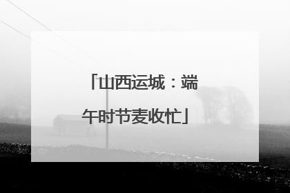 山西运城：端午时节麦收忙