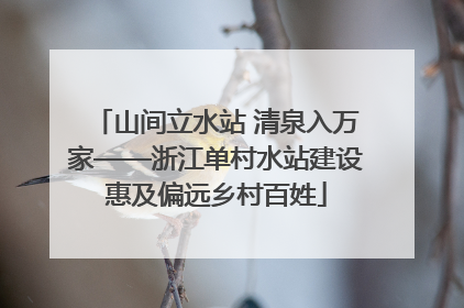 山间立水站 清泉入万家——浙江单村水站建设惠及偏远乡村百姓