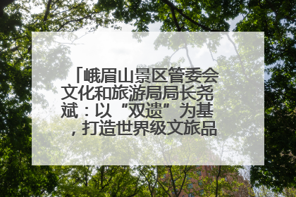 峨眉山景区管委会文化和旅游局局长尧斌：以“双遗”为基，打造世界级文旅品牌与国际典范