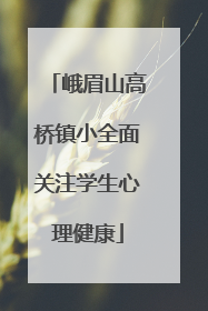 峨眉山高桥镇小全面关注学生心理健康