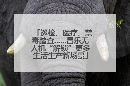 巡检、医疗、禁毒踏查……昌乐无人机“解锁”更多生活生产新场景
