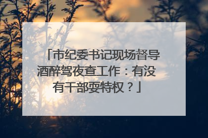 市纪委书记现场督导酒醉驾夜查工作：有没有干部耍特权？
