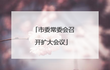 市委常委会召开扩大会议