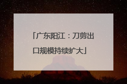 广东阳江：刀剪出口规模持续扩大