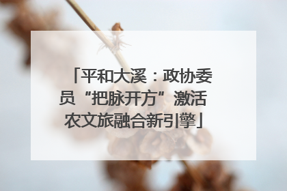 平和大溪：政协委员“把脉开方”激活农文旅融合新引擎