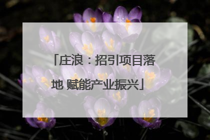 庄浪：招引项目落地 赋能产业振兴