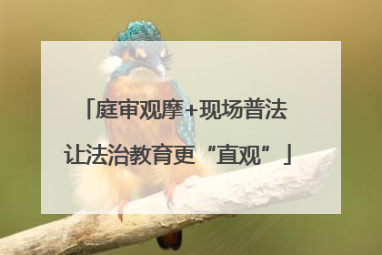 庭审观摩+现场普法 让法治教育更“直观”