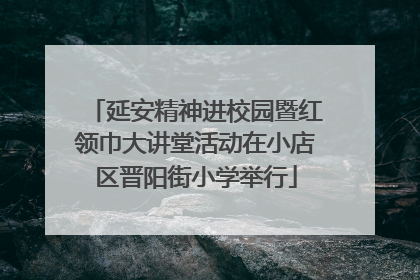 延安精神进校园暨红领巾大讲堂活动在小店区晋阳街小学举行