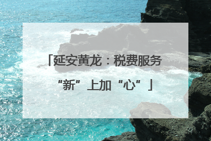 延安黄龙：税费服务“新”上加“心”