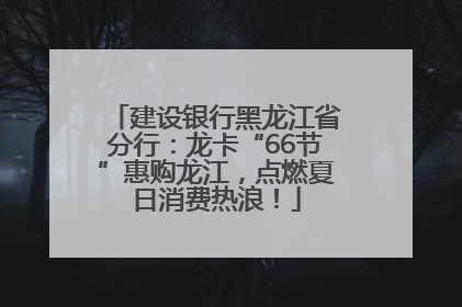 建设银行黑龙江省分行：龙卡“66节”惠购龙江，点燃夏日消费热浪！