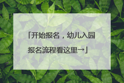 开始报名，幼儿入园报名流程看这里→