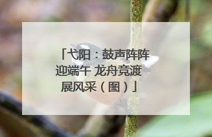 弋阳：鼓声阵阵迎端午 龙舟竞渡展风采（图）
