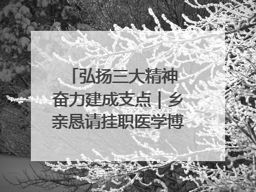 弘扬三大精神 奋力建成支点｜乡亲恳请挂职医学博士再留一年