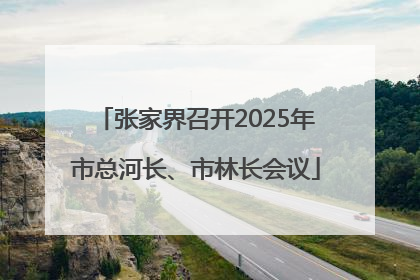 张家界召开2025年市总河长、市林长会议