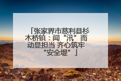 张家界市慈利县杉木桥镇：闻“汛”而动显担当 齐心筑牢“安全堤”