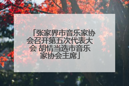 张家界市音乐家协会召开第五次代表大会 胡情当选市音乐家协会主席