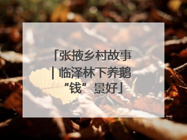 张掖乡村故事｜临泽林下养鹅“钱”景好