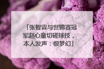 张智霖与世锦赛冠军赵心童切磋球技，本人发声：很梦幻