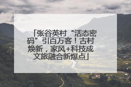 张谷英村“活态密码”引百万客！古村焕新，家风+科技成文旅融合新爆点